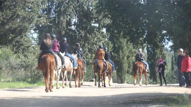 רוכבים על סוסים ביער בן שמן (צילום: מוטי קמחי )