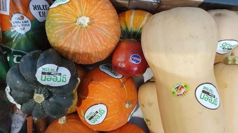 צילום: מירב קריסטל