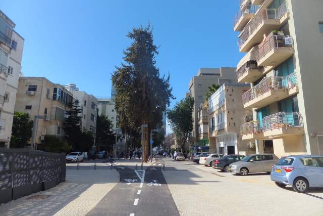 Вид на квартал Монтефиори и аллею Йегудит в Тель-Авиве. Фото: Леон Левитас