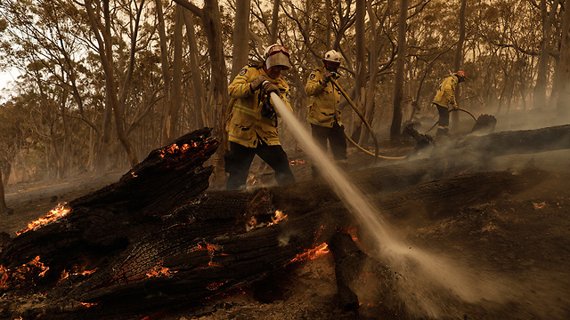 אוסטרליה שריפות ניו סאות' וויילס (צילום: EPA)