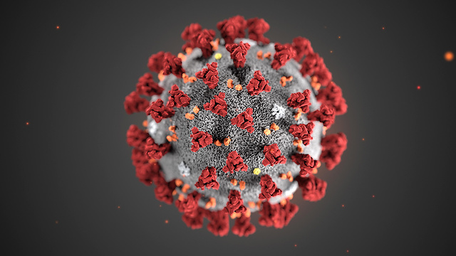 הדמייה של ה CDC של וירוס נגיף קורונה (צילום: EPA / CENTERS FOR DISEASE CONTROL)