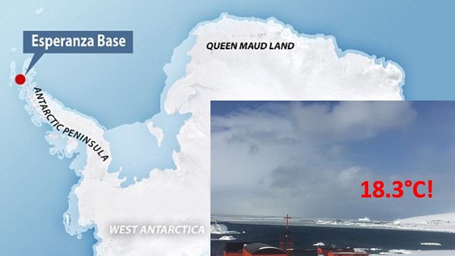 הציוץ על השיא של The Antarctic Report (צילום: The Antarctic Report)