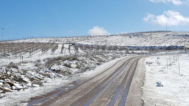 שלג באל רום (צילום: מוטי פיאדה)
