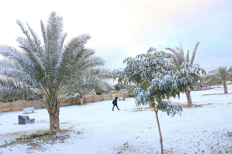 שלג ב עיראק כרבלא (צילום: AFP)