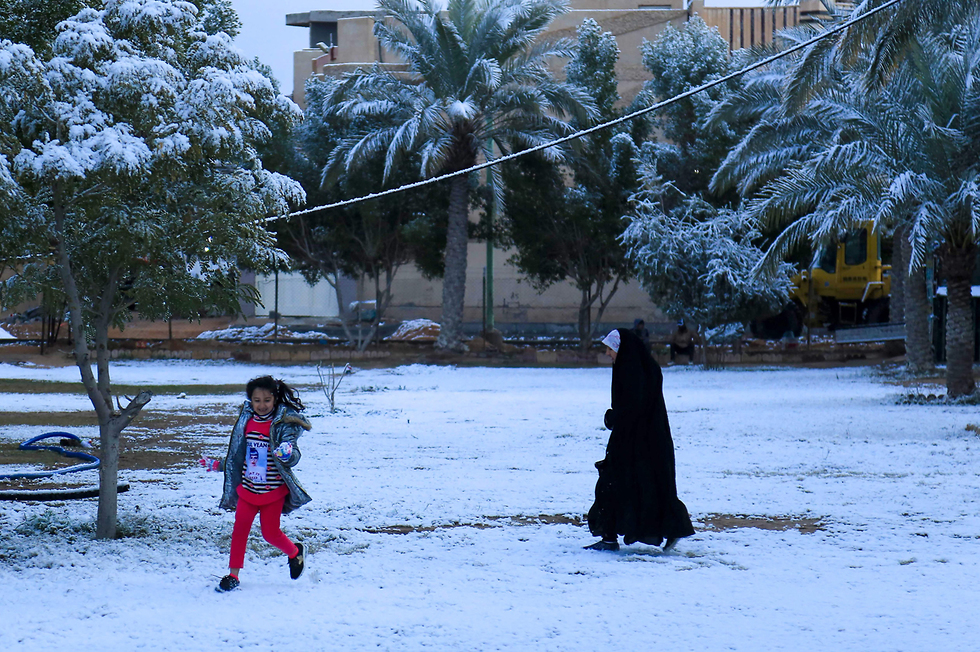 שלג ב עיראק כרבלא (צילום: AFP)