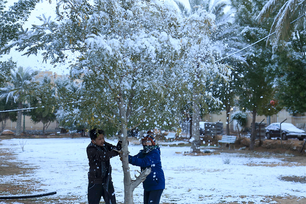 שלג ב עיראק בגדד (צילום: AFP)