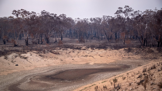 נזק אוסטרליה אחרי השריפות שריפות שריפה (צילום: gettyimages)