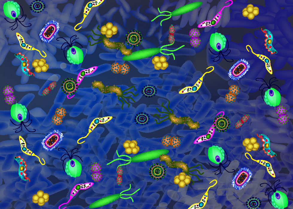 עד כמה חיידקי המעי משפיעים לנו על הבריאות ואיפה הכל השתבש? לחצו לכתבה (צילום: Shutterstock)