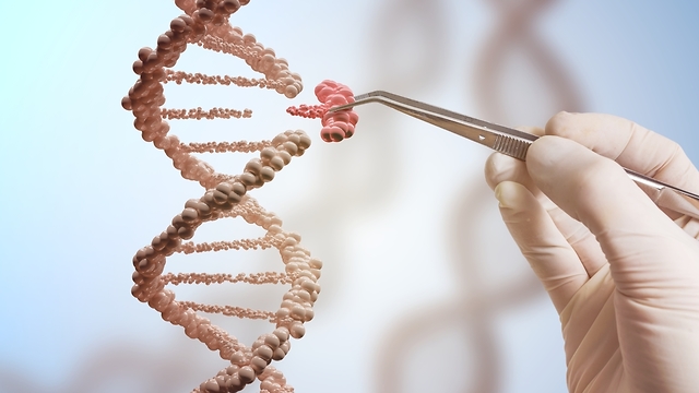 הרכב גנטי עתידני (צילום: Shutterstock)