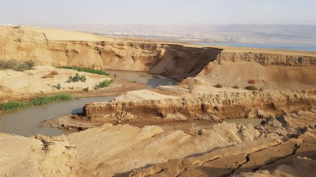 Место, где Иордан впадает в Мертвое море. Фото: региональный совет Свитки Мертвого моря