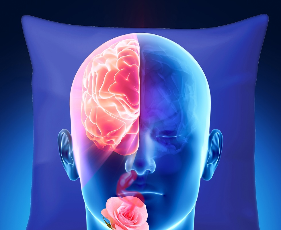 גירוי של ריח ורדים לנחיר אחד בזמן שינה, גרם לחיזוק הזיכרון באותו הצד של המוח (איור: שרון צח)