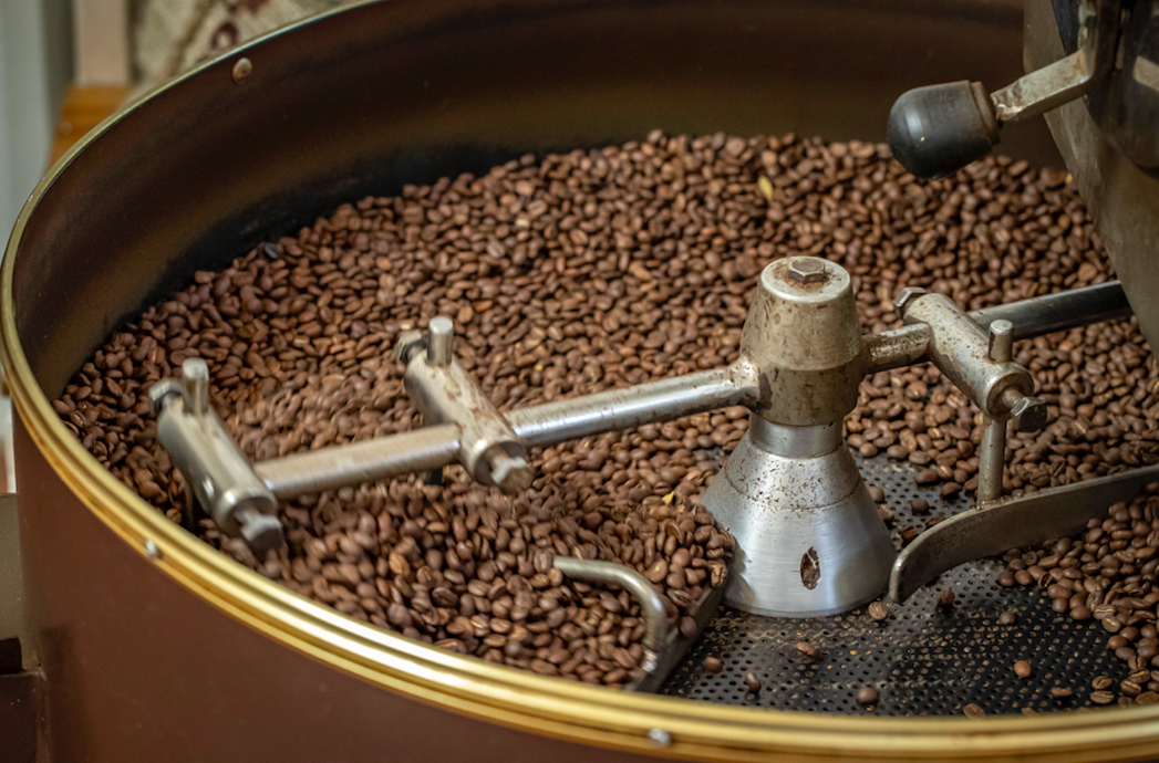 קפה שואף (צילום: גיל אבירם)