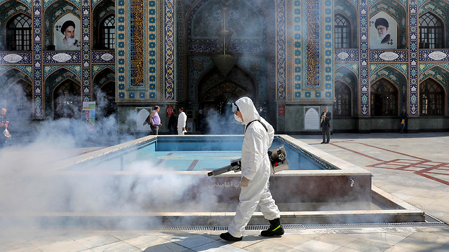 חיטוי באיראן (צילום: AP)