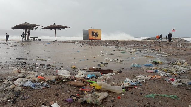 אשפה שנפלטה מהים במפרץ אילת (צילום: החברה להגנת הטבע)