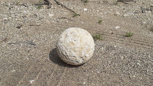 אבן הבליסטרה שהוחזרה (צילום: עוזי רוטשטיין, רשות העתיקות)