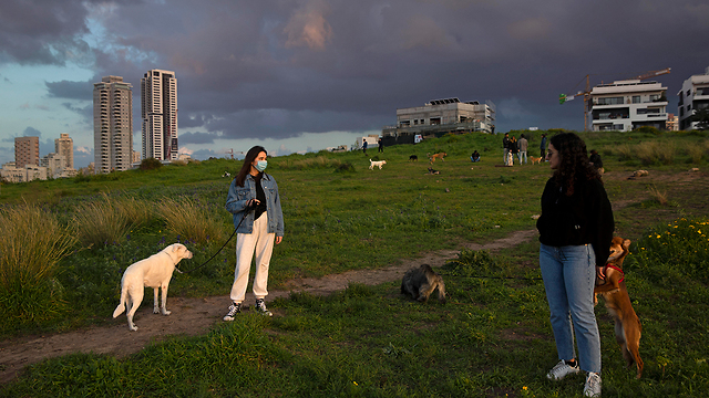 אנשים עם כלבים ב תל אביב נגיף קורונה (צילום: AP)