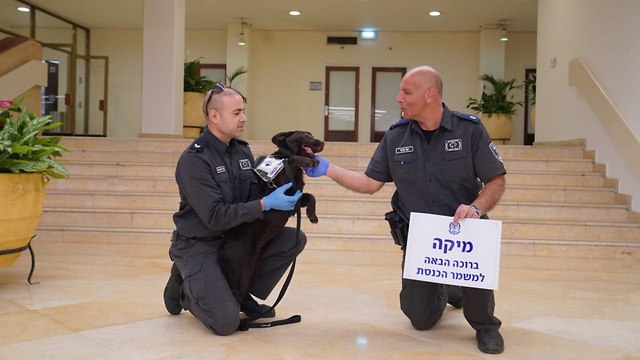 מיקה ואנשי משמר הכנסת (צילום: שמוליק גרוסמן, דוברות הכנסת)