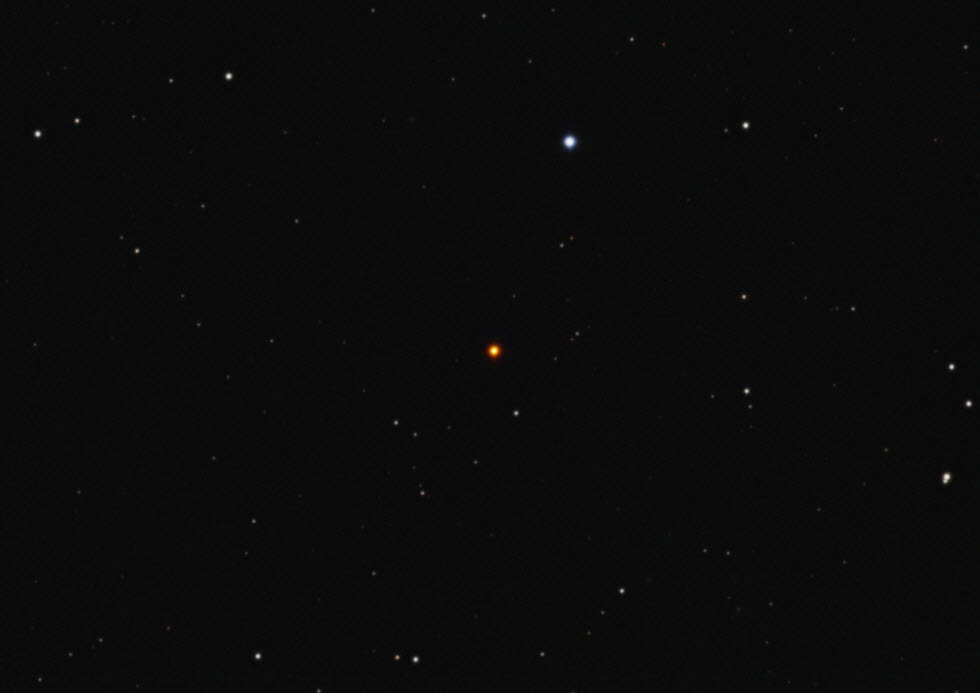 הכוכב V Coronae Borealis במרכז התמונה. שימו לב לצבעו האדום ביחס לכוכבים שסביבו.  (צילום: David Ritter)
