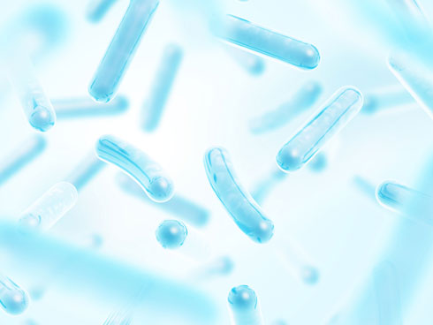 לחיידקים פרוביוטיים בציפוי טכנולוגי יעיל יש יכולת שרידות גבוהה יותר בהשוואה למוצרי מזון (צילום: iStock)