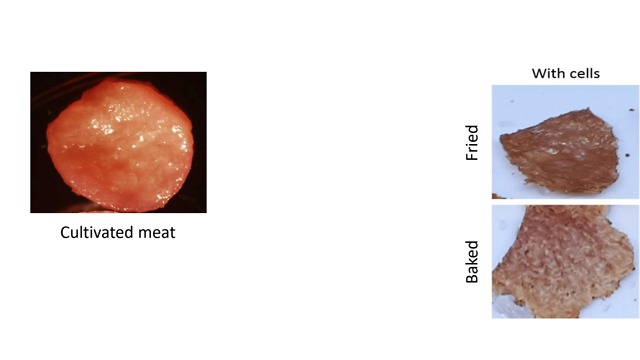 בשר מטוגן ואפוי השוואה בין בשר רגיל למתורבת (צילום: מתוך המאמר)