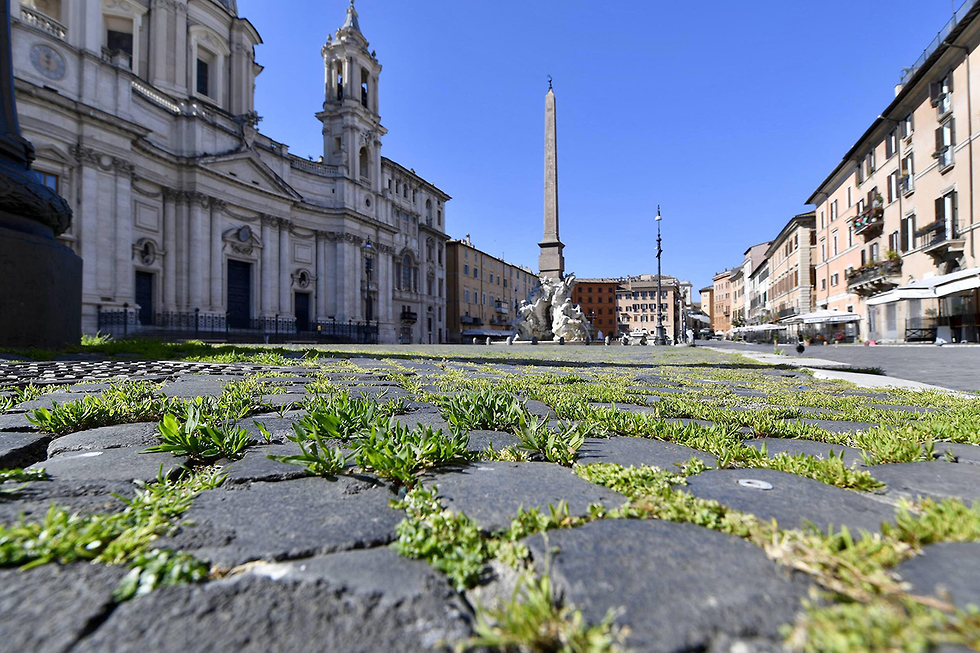 Трава, пробившаяся на Пьяцца Навона в Риме за время карантина. Фото: MCT