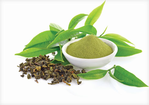 שתיית תה ירוק אחרי אימון מפחיתה נזק לשריר (צילום: Shutterstock)