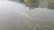 צילום: פיראס תלחמי, רשות המים