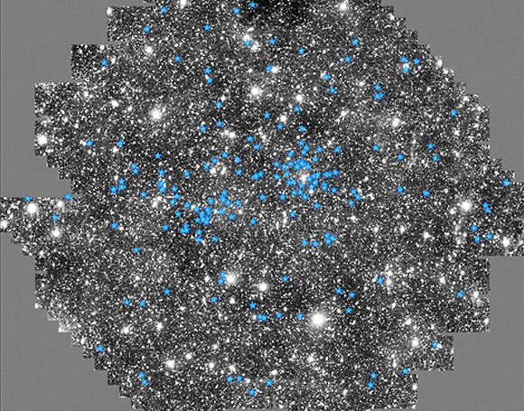 האזורים שבהם התגלו כוכבים חדשים (מסומנים בכחול) על רקע מפת שביל החלב (איור: A. Price-Whelan/ Simons Foundation.)