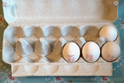 במקום בהלת ביצים שיצאה משליטה (צילום: עמית שאבי)