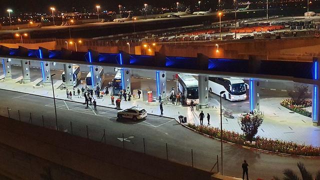 Автобусы ждут пассажиров рейса из Минска в аэропорту Бен-Гурион
