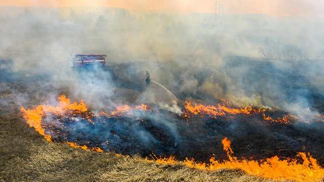 שריפה יער ליד צ'רנוביל כור גרעיני ב  אוקראינה (צילום: AFP)