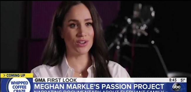 "מזדהה ומבינה פילים" (צילום: מתוך "בוקר טוב אמריקה" )