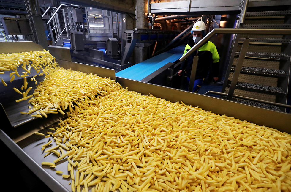 בלגיה מפעל לייצור צ'יפס תפוחי אדמה (צילום: רויטרס)