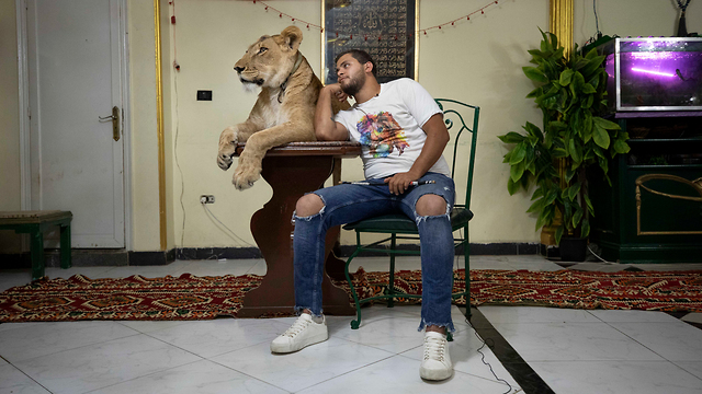 נגיף קורונה מצרים אשרף אל חלווה מאלף אריות (צילום: AP)