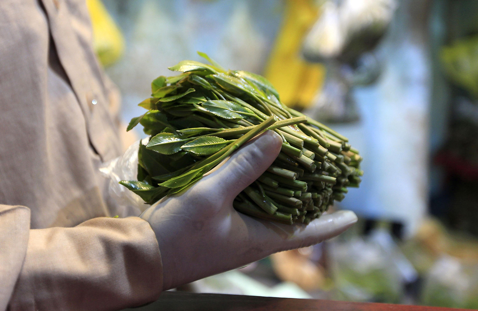 תימן שוק למכירת גת בבירה צנעא (צילום: AFP)