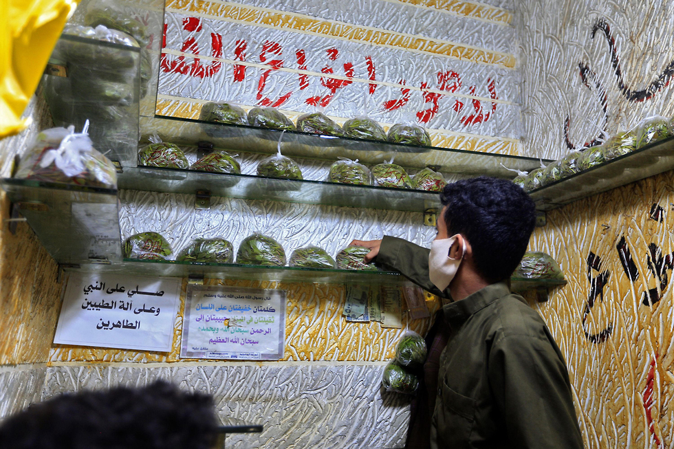 תימן שוק למכירת גת בבירה צנעא (צילום: AFP)