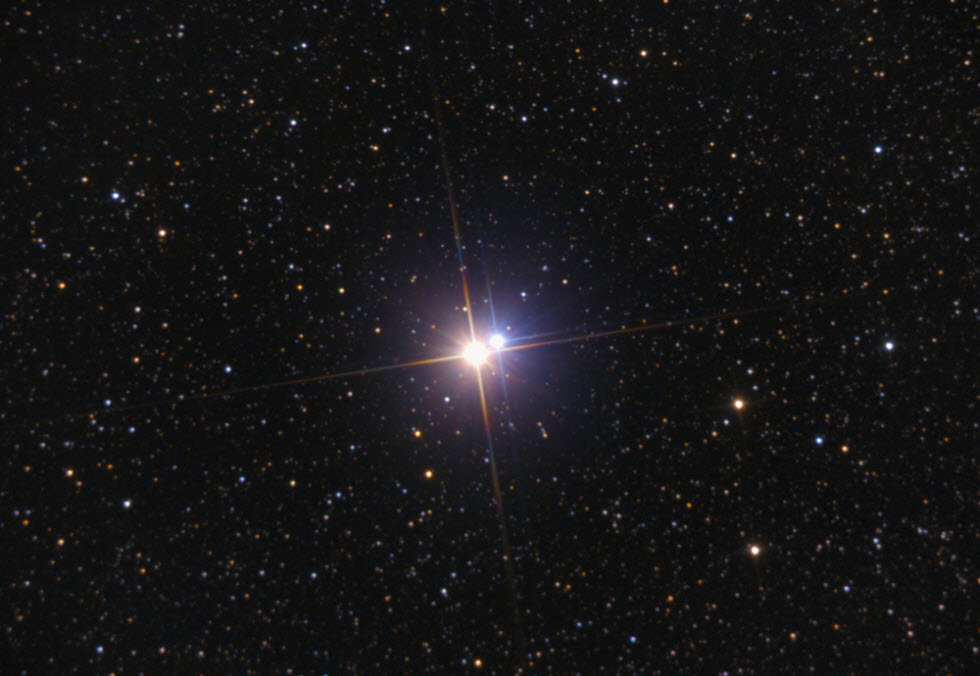 אלביראו - כוכב כפול בקבוצת סיגנוס. שימו לב לניגודיות בצבע הכוכבים הבולטת בין השניים (צילום: Cristian Cestaro)