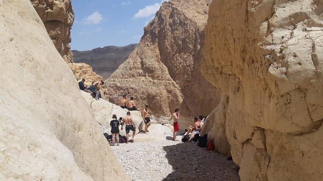 מטיילים מטיילים בבריכת צפירה במדבר יהודה (צילום: ג׳אמיל אלאטרש, רשות הטבע והגנים)