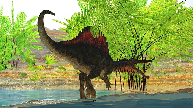 ספינוזאורוס אגיפטיאקוס (הדמיה: shutterstock)