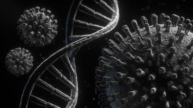 סליל DNA (צילום: shuttterstok)