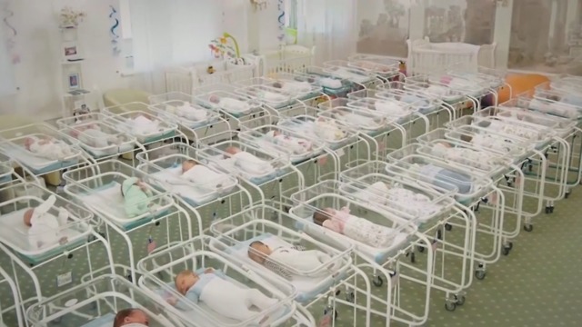 אוקראינה תינוקות שנולדו בהליך פונדקאות תקועים ב אוקראינה נגיף קורונה (צילום: רויטרס)