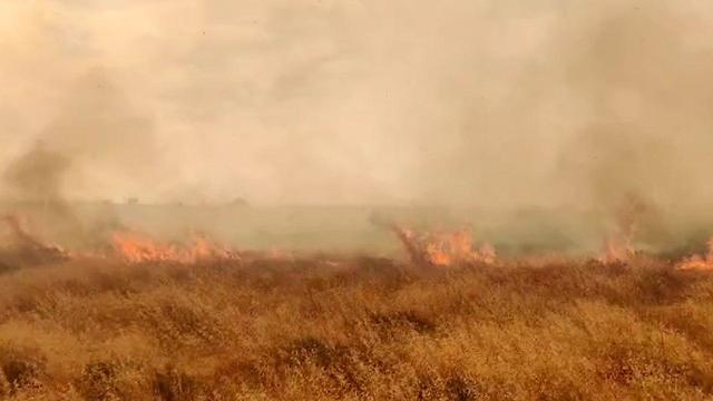 שריפת קוצים סמוך לכביש 325  ליד באר שבע (צילום: תיעוד מבצעי כבאות והצלה)