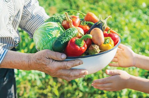 "אולי זה יגרום לנו להבין שגם בעולם גלובלי בסופו של דבר אנחנו צריכים קמח, עגבנייה ומלפפון" (צילום: Shutterstock)