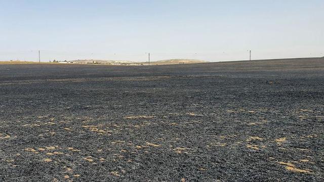 שריפת קוצים בטראבין (צילום: תיעוד מבצעי כבאות והצלה)