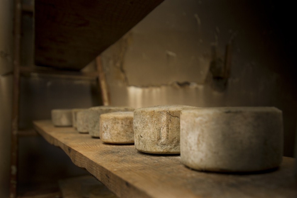 הנזירים היו הראשונים לשמור על גבינות במרתפים, אבל לא מסיבות קולינריות (צילום: shutterstock)