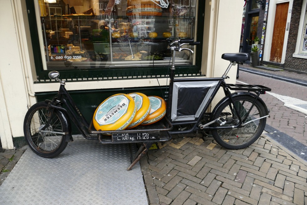 גבינת בימסטר הולנדית (צילום: shutterstock)
