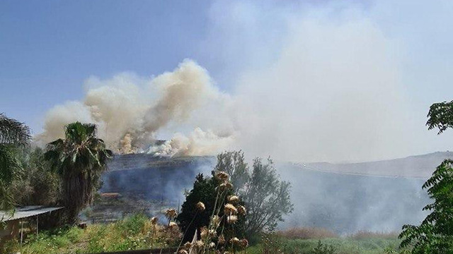 שריפה באזור כפר אוריה ( צילום: דוברות כיבוי והצלה)