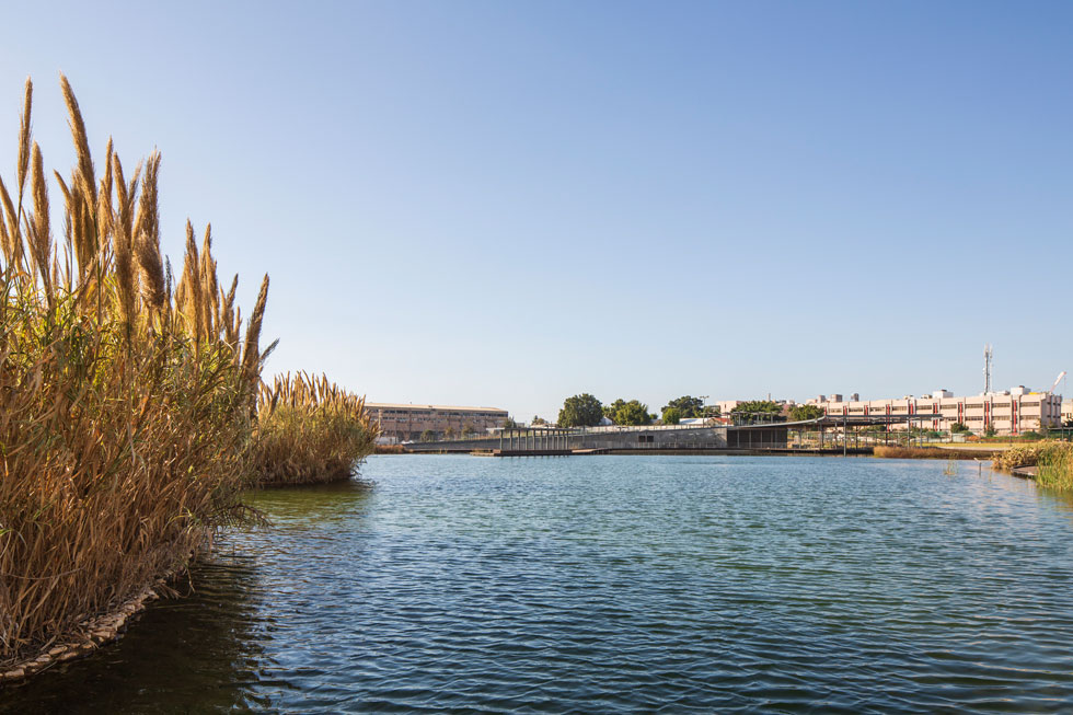 האגם בפארק הגדול, בתכנון מייזליץ-כסיף, הוא אקולוגי ובקרוב תיפתח כאן גם מסעדה על המים (צילום: אביתר הרשטיק)