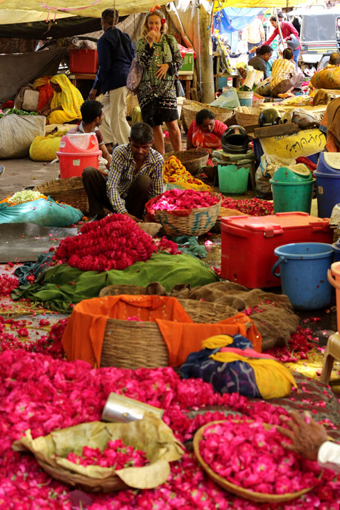 "הרבה נשים מגיעות להודו כדי לקנות" (צילום: אורן שליו)