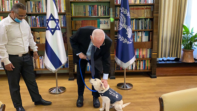 הנשיא ריבלין עם קרמר, כלב נחייה ()